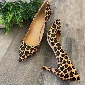 J. CREW Leopard Print Calf Hair Pointy Toe 3” Stiletto Heels, Size 12